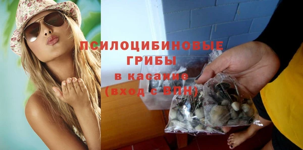 ГАЛЛЮЦИНОГЕННЫЕ ГРИБЫ Верея