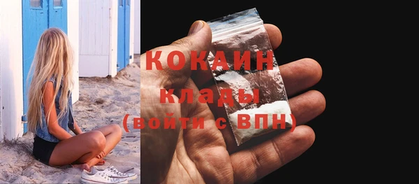 ГАЛЛЮЦИНОГЕННЫЕ ГРИБЫ Верея