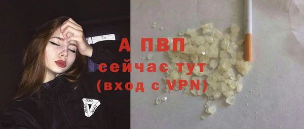 ГАЛЛЮЦИНОГЕННЫЕ ГРИБЫ Верея