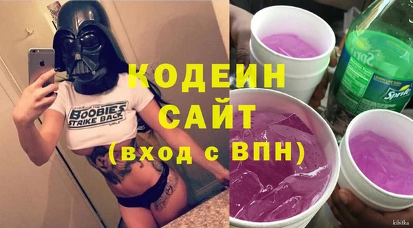ГАЛЛЮЦИНОГЕННЫЕ ГРИБЫ Верея