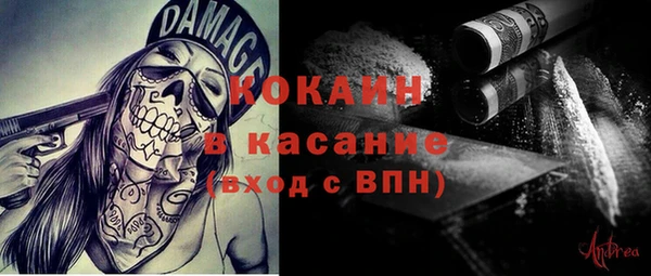 ГАЛЛЮЦИНОГЕННЫЕ ГРИБЫ Верея