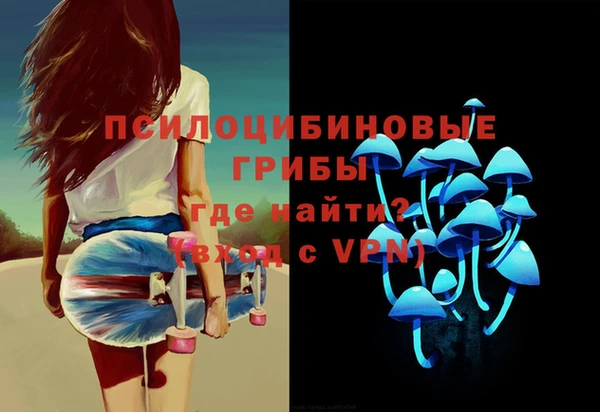 ГАЛЛЮЦИНОГЕННЫЕ ГРИБЫ Верея