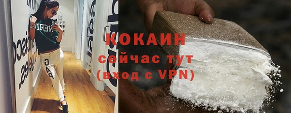 ГАЛЛЮЦИНОГЕННЫЕ ГРИБЫ Верея